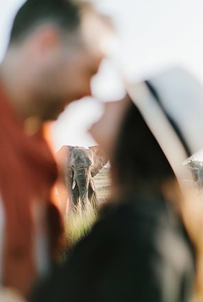 Elephant photoshoot experience