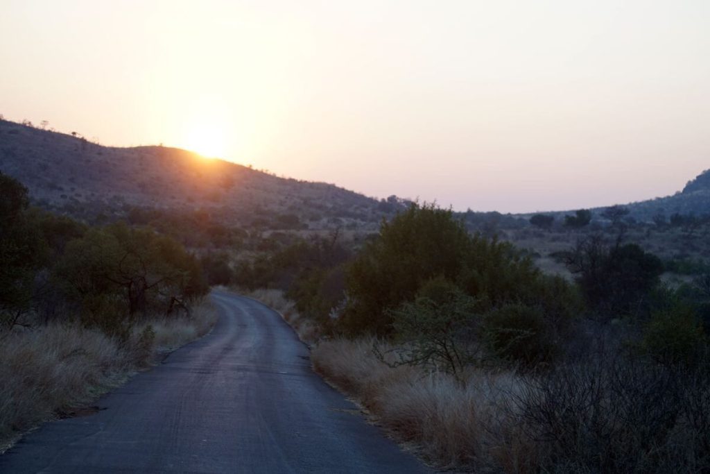 Sunrise over the game drive road through Mabalingwe Nature Reserve Waterberg