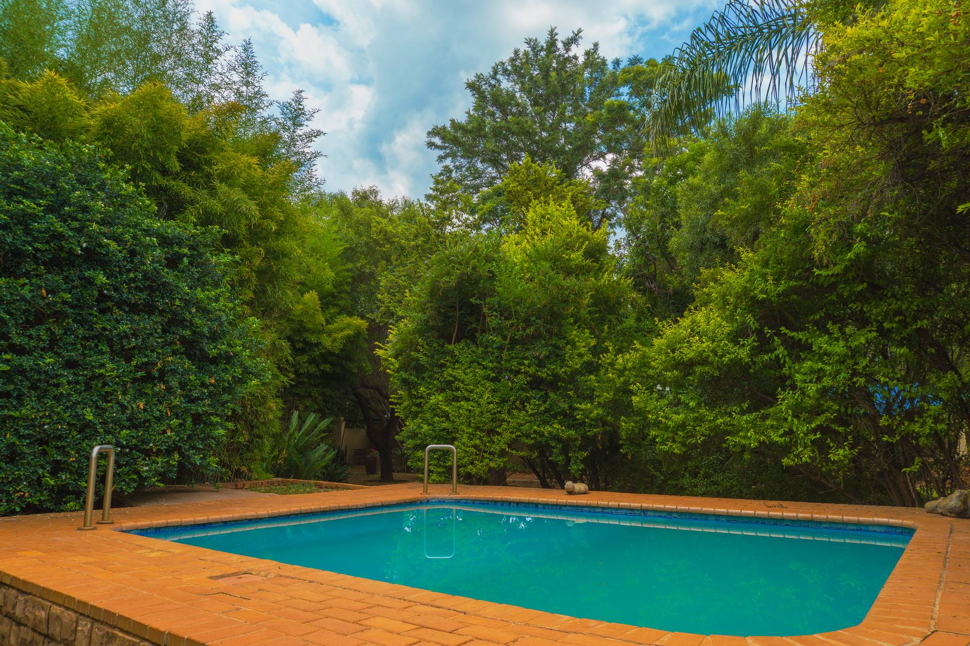Sparkling pool surrounded by bushveld at Gallery Inn Bela Bela